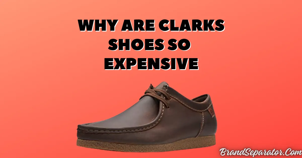 Why Are Clarks Shoes So Expensive