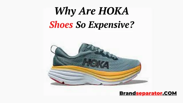 why are Hoka shoes so expensive