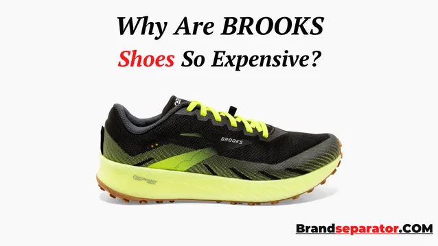 why are brooks shoes so expensive