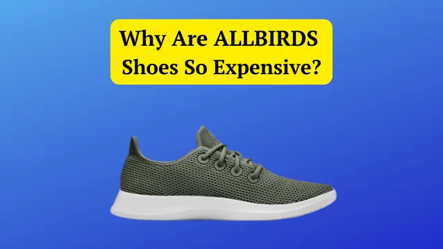 why are allbirds shoes so expensive