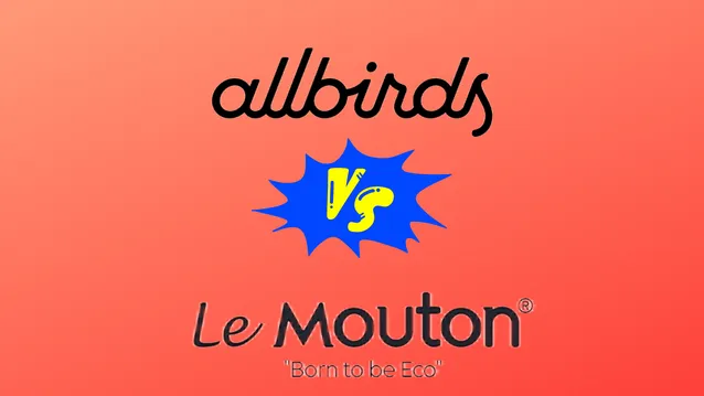 allbirds vs le mouton
