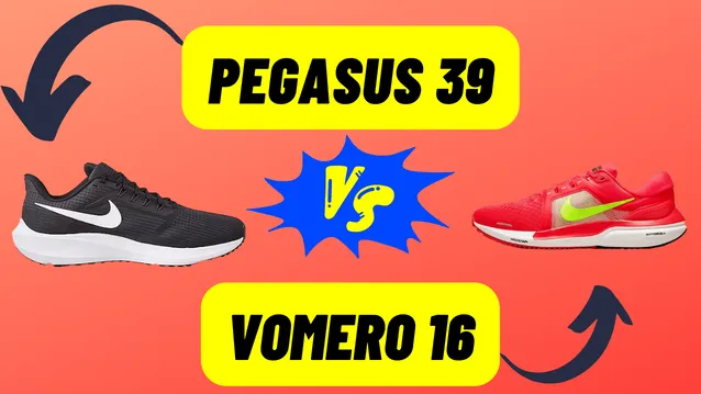 Pegasus 39 VS Vomero 16